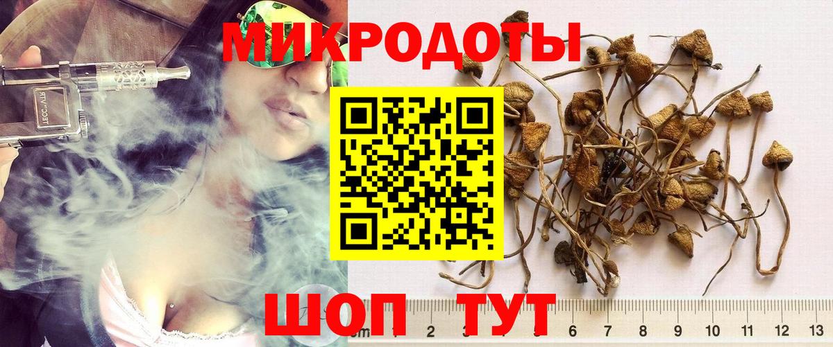 Нарткала  Псилоцибиновые грибы мицелий  Вход с VPN 