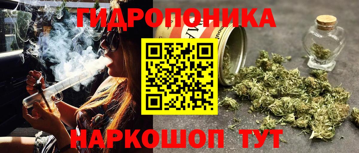 Канабис семена Нарткала